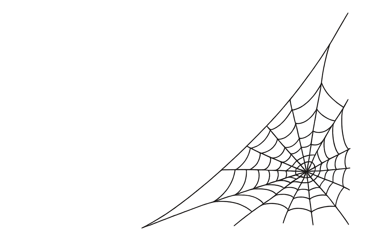 Spider Web Projects Art